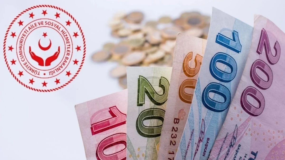 e-Devlet’ten 15 Günde Onay: İhtiyaç Sahibi Hanelere 4.500 TL’lik Yeni Destek Paketi Tanımlandı - Ekonomi Haberleri